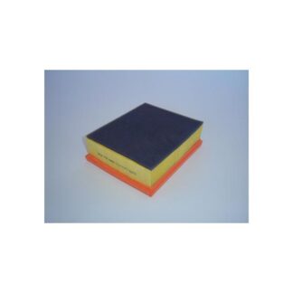 FILTRO DE AIRE WEGA PEUGEOT 206 1.9L DW8 WEG-FAP-4865/1